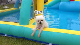 動画サムネイル