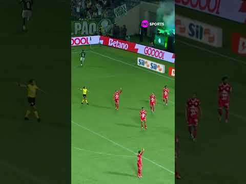 O TIGRINHO CRAVA! VITOR ROQUE MARCOU LOGO NO COMEÇO DO JOGO CONTRA O CAPIVARIANO #shorts