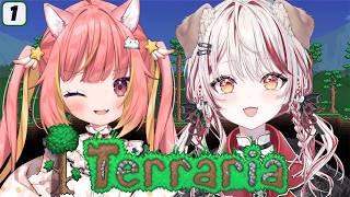 【 #ひかるいティータイム 】Terraria #1 神ゲーと絶賛されているテラリアの世界で掘りまくります【 飛良ひかり┋瀬島るい┋ななしい