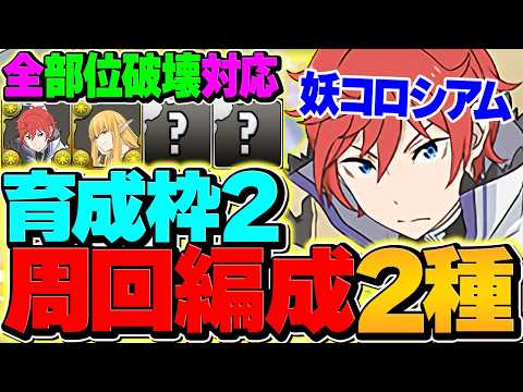 【全部位破壊対応】3体+891育成しながら妖コロシアムを周回しよう！２パターン編成解説！【パズドラ】