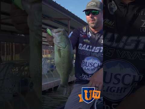 MUST TRY Fall Bass Fishing Tips! #bassfishing #fishing