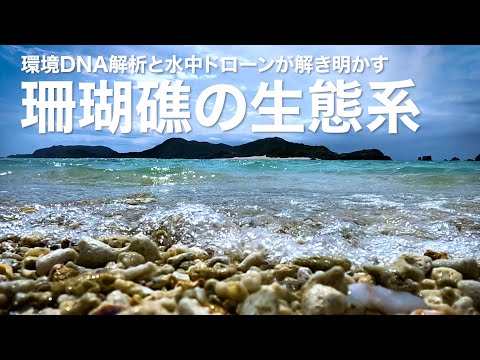 環境DNA解析と水中ドローンが解き明かす サンゴ礁の生態系｜Science Portal動画ニュース（2024年11月15日配信）