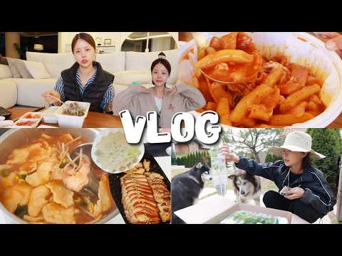 [먹방vlog] 한식파의 해장,귀국음식으로 쓸어내리는 방법😏 _ 엽떡수혈+손수제비 <strong>동태탕</strong>+순댓국+해장냉면+족발보쌈+콩국수+열무냉국수+농사톨
