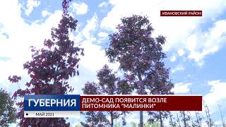 Демо-сад появится возле питомника «Малинки»