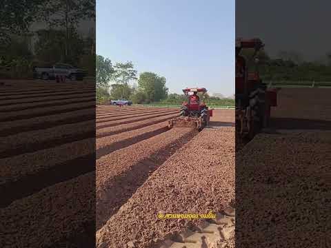 Membuat Bedengan dengan Mesin Modern