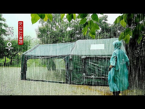 폭우 내리는 숲속에서 하룻밤☔ ㆍ camping in the rain ㆍ캠핑브이로그