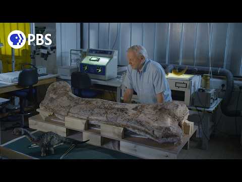 Museum Alive with David Attenborough | PBS Nature Documentary