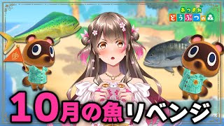 【あつ森】10月の魚コンプリベンジ!難関のレア魚2種を撒き餌300個以内に釣り上げる事は出来るか…?!【あつまれどうぶつの森 ライブ】