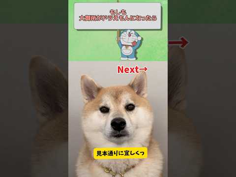 柴犬がドラえもんに？キュートな映像とおもしろアイデアをご紹介 サムネイル