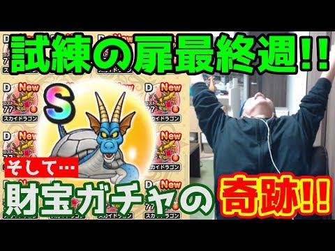 【ドラクエウォーク】試練の扉最終週スタートダッシュ!! そして伝説へ…!!