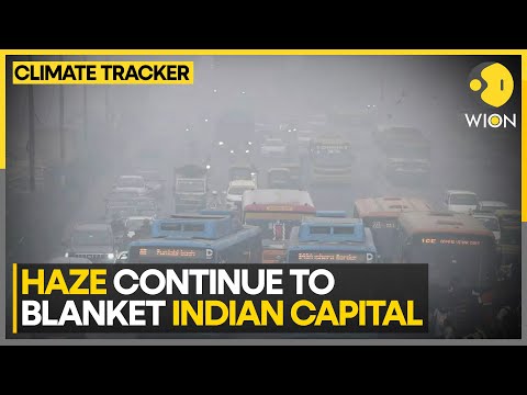 Delhi Air Quality Worsens After Brief Despite | World News | WION Climate Tracker