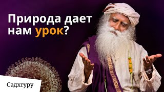 Это природа дает нам урок? | Коронавирус COVID-19