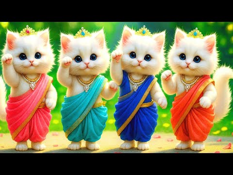 बिल्ली  डांस,💃| Cutest Cat videos funny dance 🤣 💃 Videos for cats #funny #dancingcat #cat #kitten