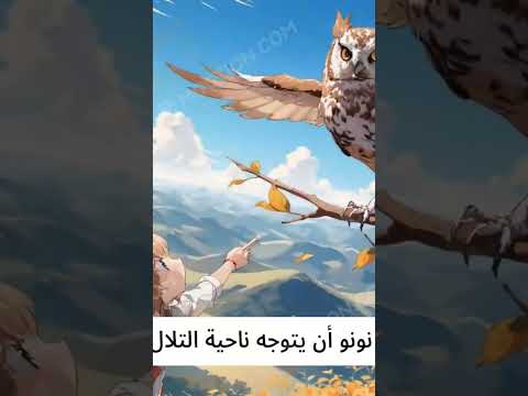 قصة الارنب نونو #الرحمن #اقتباسات #الظروف #لايك #المصحف #ترند #الطحان #تيك_توك #اكسبلور #الرمال