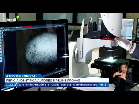 Perícia identifica autores de atos golpistas em Brasília