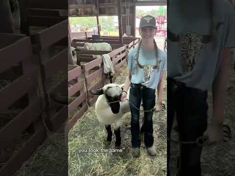 We* look the same❤️ #horse #equestrianjourney #horseenthusiast #stopanimalabuse #equestrian #horse