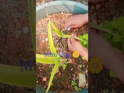 my chatpata vlog 💪❤️# short video # viral # trending #support my channel