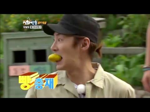 How SHINHWA Trained Their Baby Bird 아기새의 훈련