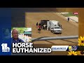 NBCs Mike Tirico on death of horse at Pimlico