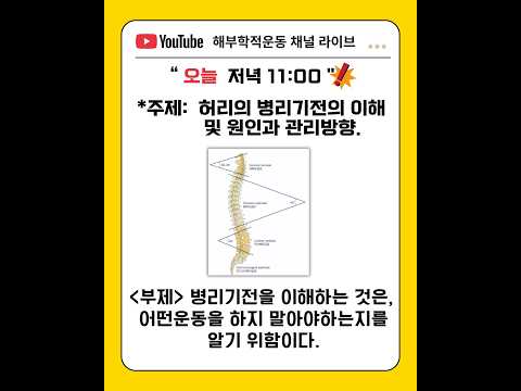 허리의 병리기전의 이해 및 원인과 관리방향