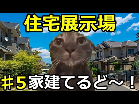 【猫ミーム】市営住宅の闇パート5