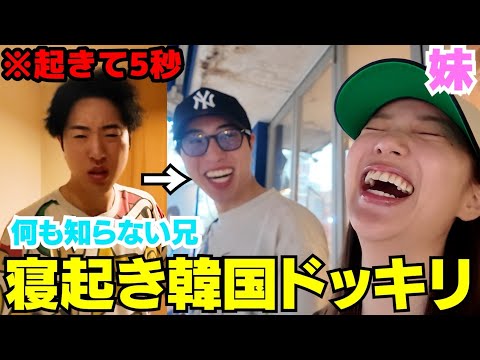 兄の家に早朝凸って妹が無理矢理韓国に連れて行きますwwwww