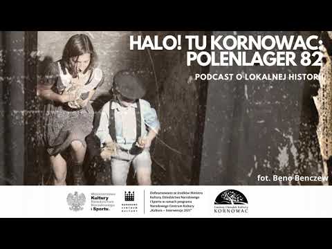 HALO! TU KORNOWAC: POLENLAGER 82