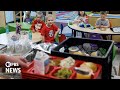 WATCH LIVE: Senate Agriculture hearing on allowing schools to serve whole milk during meals