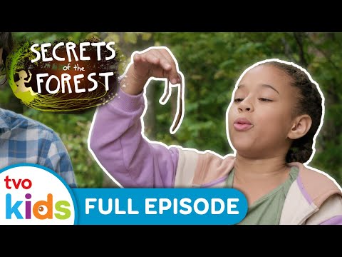 Underground Invader 🔬🍃 SECRETS OF THE FOREST - Season 1 Full Episode | TVOkids