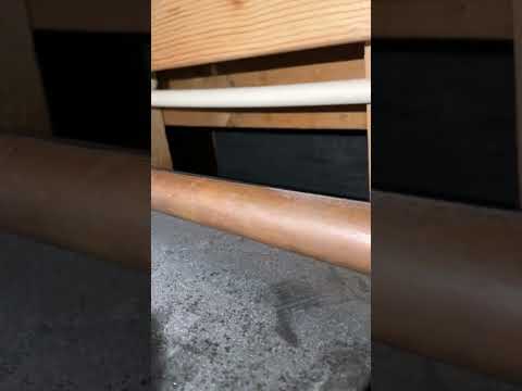 Jobs with Ryan:🚿Shower Leak Inspection