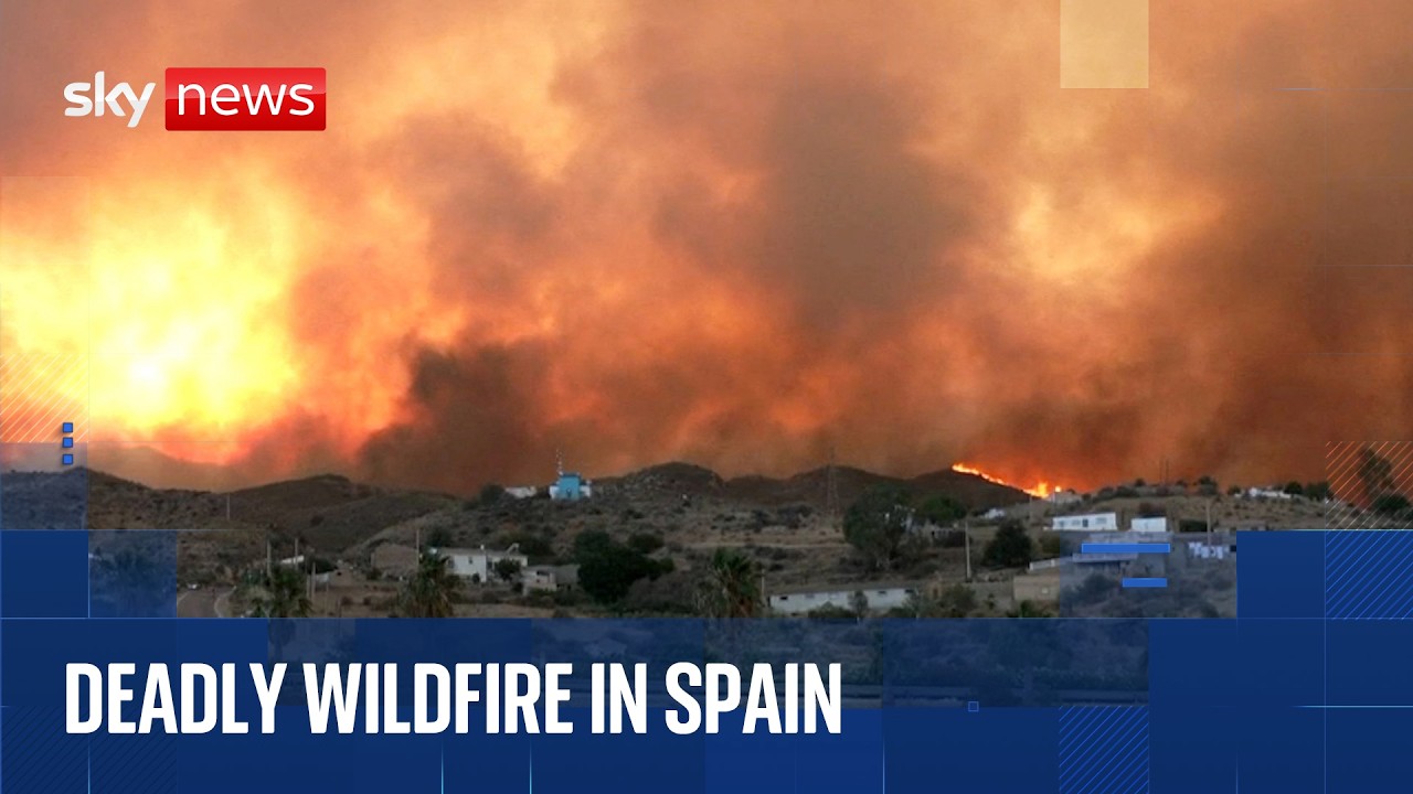 Wildfire sweeps across southern Spain, killing at least 12 people