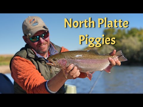 Casper Wyoming - Trout Paradise