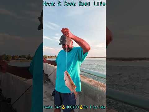 Fishing video video thumbnail