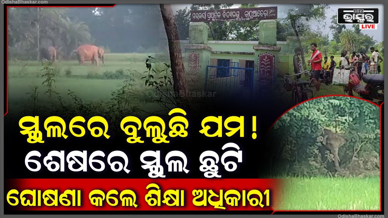 ସ୍କୁଲରେ ବୁଲୁଛି ଯମ ! ଭୟର ବାତାବରଣ ଯୋଗୁଁ ଶେଷରେ ସ୍କୁଲ ଛୁଟି ଘୋଷଣା କଲେ ଶିକ୍ଷା ଅଧିକାରୀ