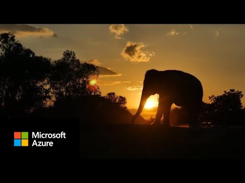 WPS uses Microsoft Azure to protect the most remote areas on earth
