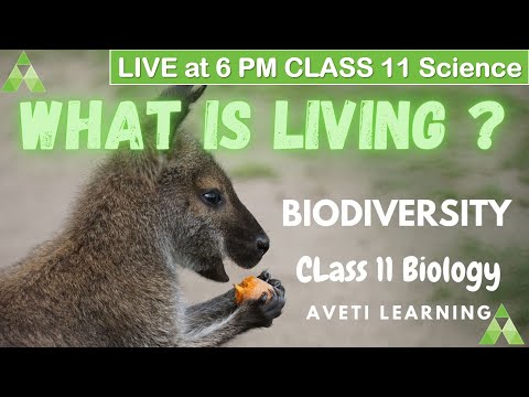Class 11 Biology| Chapter1 Diversity in Living World |+2 1st year| What is Living |Aveti Learning
