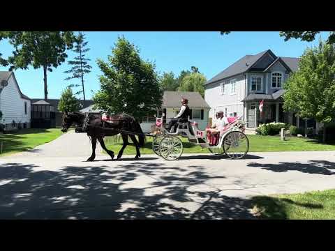 Property video