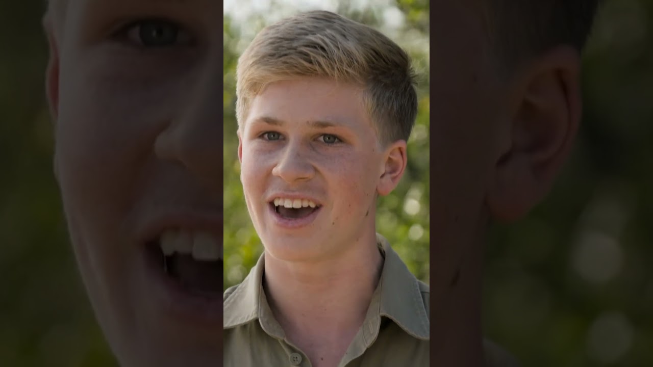 Robert Irwin Meets The King of the Jungle | Crikey! It's the Irwins | Animal Planet