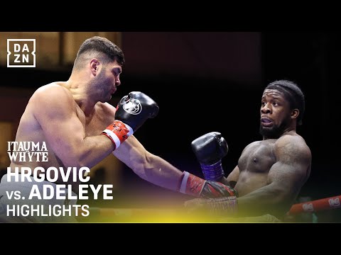 Filip Hrgovic vs. David Adeleye | Fight Highlights