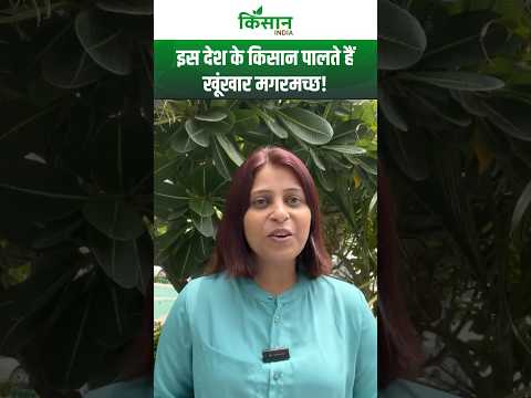इस देश के किसान पाल रहे खूंखार मगरमच्छ,वजह जानकर हैरान रह जाएंगे!। Crocodile Farming। #shorts