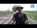 Hail damaged the Getq village’s crops thumbnail