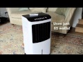 Neostar air hot sale cooler and heater