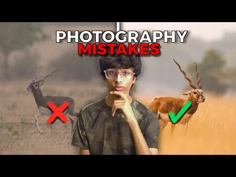 Are You Making These Wildlife Photography Mistakes?