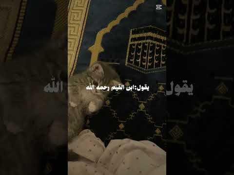 قال الرسول صلى الله عليه وسلم من قرأ آية الكرسي🌷