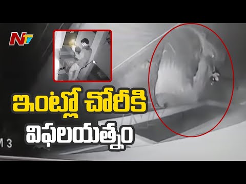 CCTV : A thief's unsuccessful attempt at doctor's residence in Eluru CCTV : A thief's unsuccessful attempt at doctor's residence in Eluru