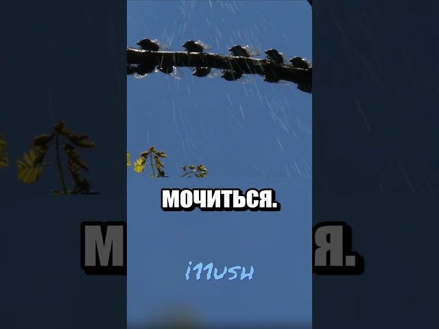 Вот и думайте дождь это или нет