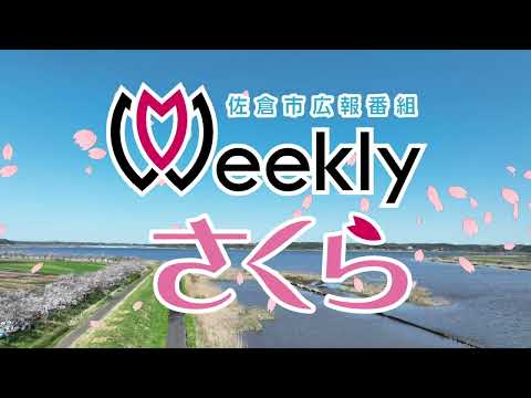 【新OP】佐倉市広報番組「Weekly さくら」 ♪ ゆうなみ「はじまりのかおり」（2024/11/18）