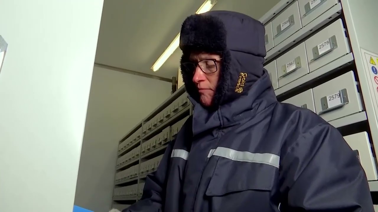 World's largest wild seed bank marks 25 years | REUTERS