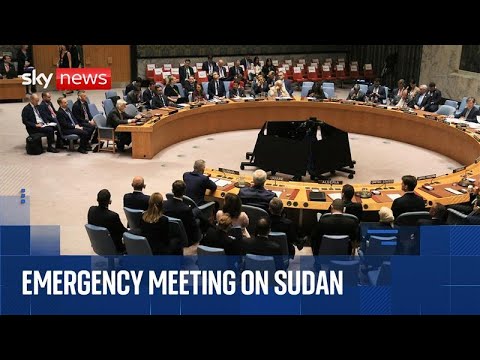 UN Security Council meeting on situation in Sudan