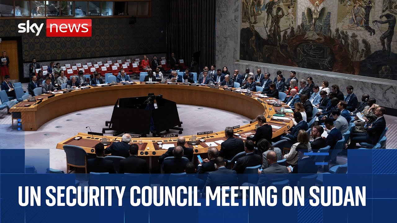 UN Security Council meeting on situation in Sudan